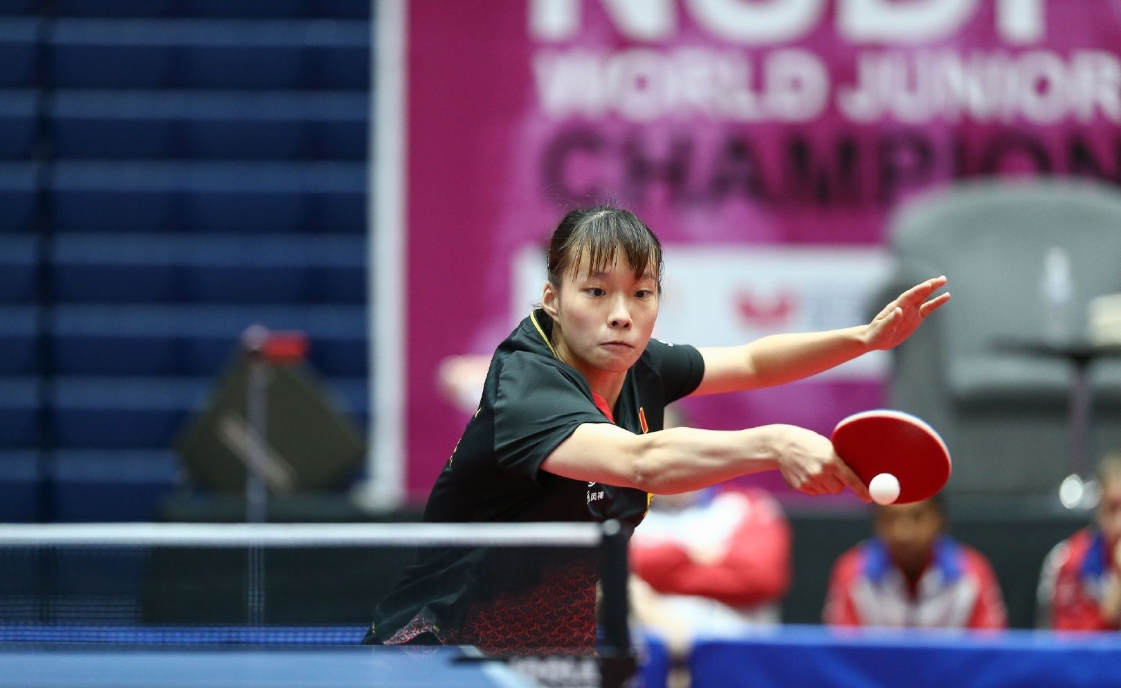 了一个展示 了一个展示