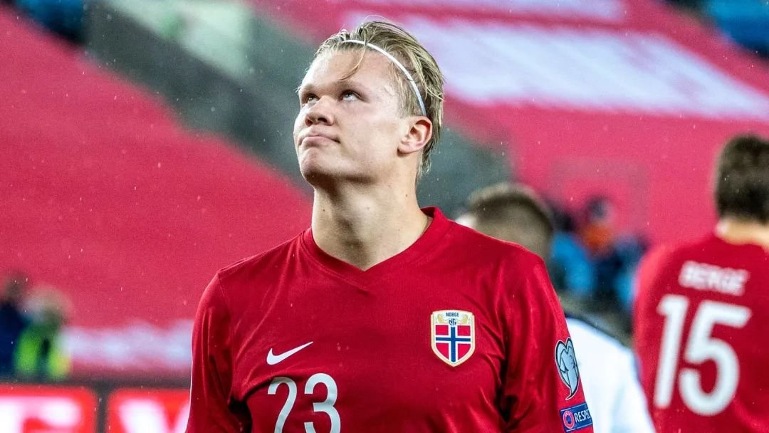 打者的视野 打者的视野